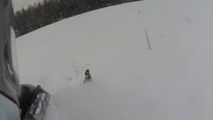 Снегоход Arctic Cat XF 800 Sno Pro HC