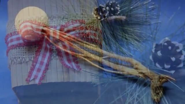 Топиари своими руками из шишек смотреть онлайн