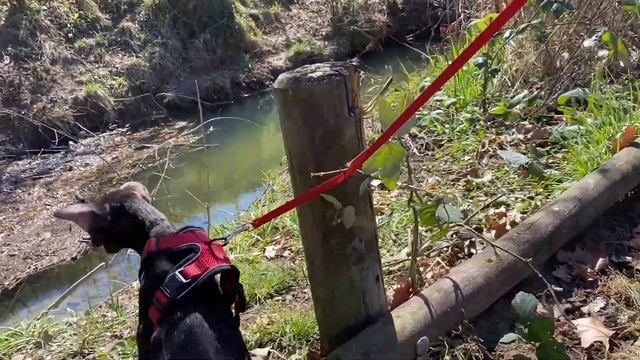 Сбор клубники?l Работа мечты l Поиск работы за границей