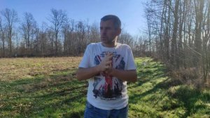 Павловния для забора. Выращивание Павловнии для живой изгороди: плюсы и минусы!? Growing a paulowni