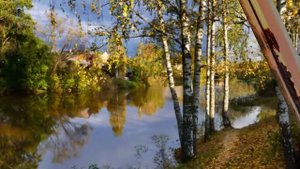 Практика для улучшения энергетики и эмоций "Энергетический душ"