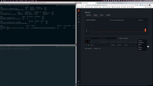 Kubernetes Backup and Restore for VMware Tanzu and VMware CNS using Portworx Backup смотреть онлайн