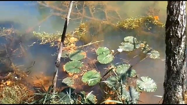 3 удивительных феномена Южного Урала. смотреть онлайн