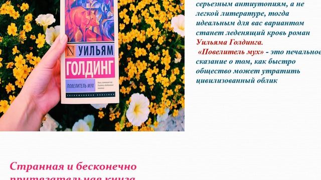 Презентация Легкий книжный бриз смотреть онлайн