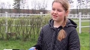 В Новокубанском районе состоялся аукцион английских чистокровных лошадей