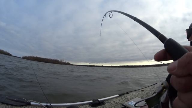 СЕРЕГА ТАМ КОНКРЕТНЫЙ ТРОФЕЙ СЕЛ!!! Рыбалка 2019,судак,лещ,окунь,щука. Обь, джиг. смотреть онлайн