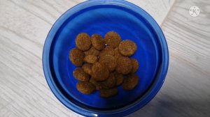 Распаковка — Корм для собак Brit Premium by Nature Junior XL