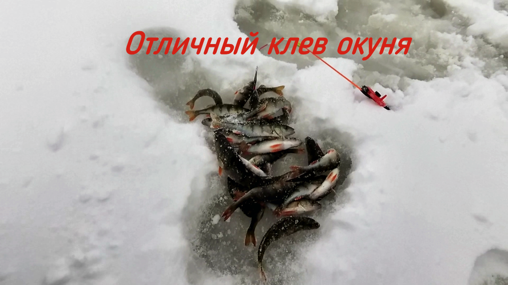 Клев окуня в марте. Зимняя рыбалка 2021-2022. Зимняя рыбалка на реке. Рыбалка на озере. Рыбалка в тайге зимой.