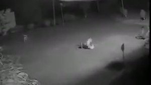 Ляпота PLAY