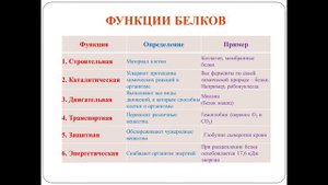 Белки состав, структура и функции