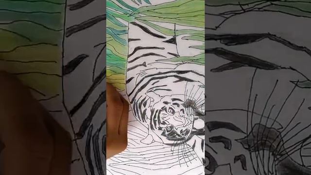 tiger drawing 🐆