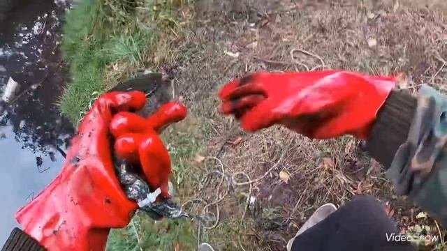 Заработал за Час на Поисковый Магнит