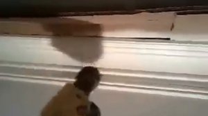 монтаж потолочного карниза 5 часть покраска