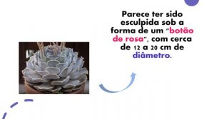 APROFUNDANDO NA ESPÉCIE | ECHEVERIA LILACINA - Projeto de Botânica