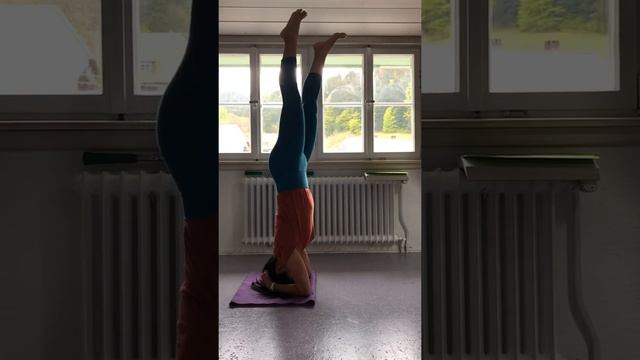 Sirsasana - variations; in Yoga Am Bach, Black Forest, Germany. May 15, 2019 смотреть онлайн