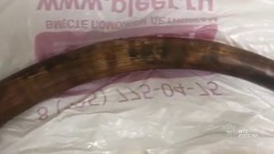 Контрабанду бивня шерстистого мамонта предотвратили в Домоде