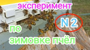 Зимовка пчёл в шестирамочниках ППС на улице? Пчеловодство!