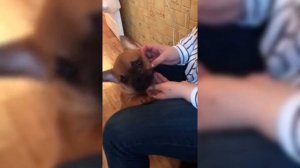 ТЕХНИКА ГЛУБОКОЕ ГОРЛО/17.03.19/ВЕЧЕРНИЕ ИГРИЩА