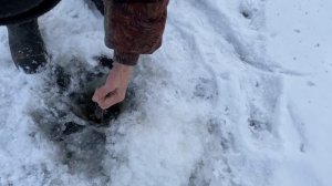 Ловля пресноводной трески в Якутии