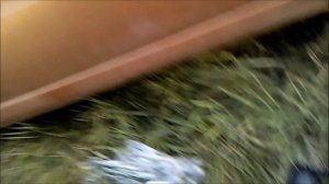 обзор автомобильной аптечки!разочарование!