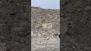 Бузнаса нух бузнаса нух // Работы идут