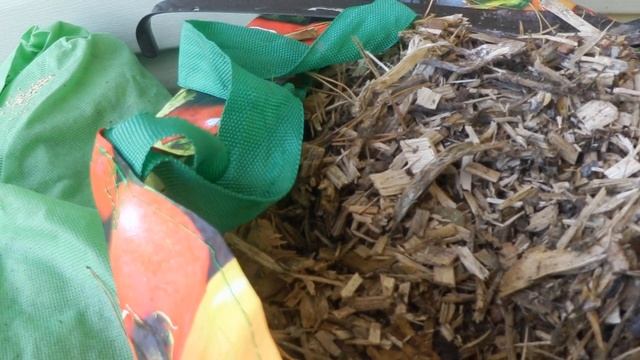 ВЛОГ. Заботы!/ Спасти сливу АННУШКА! Моей свекрови/ Вырубить старую сливу/Посадить чеснок. смотреть онлайн