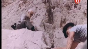 Под маской беркута