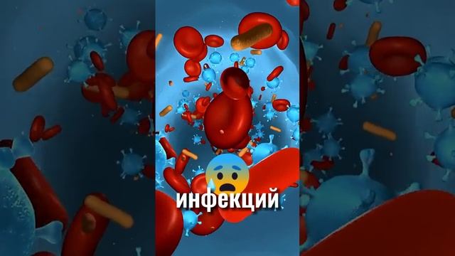 Как долго можно есть только эту еду