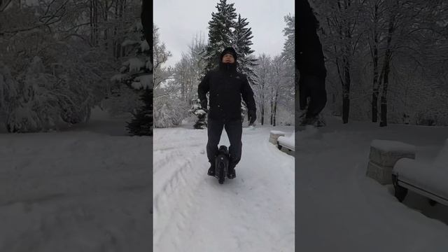 Снегопад в Санкт-Петербурге. Парк Победы￼. Моноколесо. Одинокая птица￼. Наутилус Помпилиус￼.￼