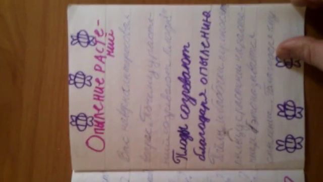 Книжка-Малышка по охране растений. Куликов Иван.3gp смотреть онлайн