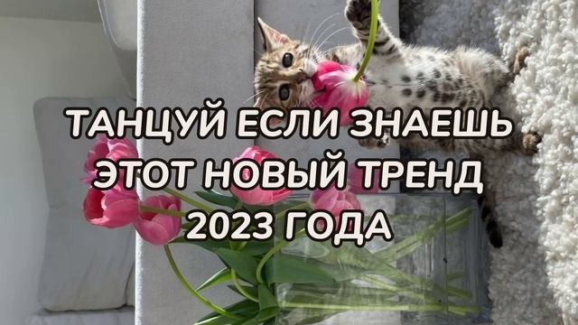 ?ТАНЦУЙ ЕСЛИ ЗНАЕШЬ ЭТОТ НОВЫЙ ТРЕНД 2023 ГОДА? смотреть онлайн