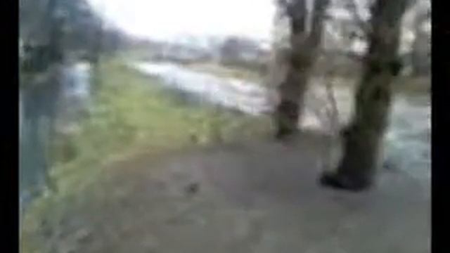 Лесная реченька смотреть онлайн