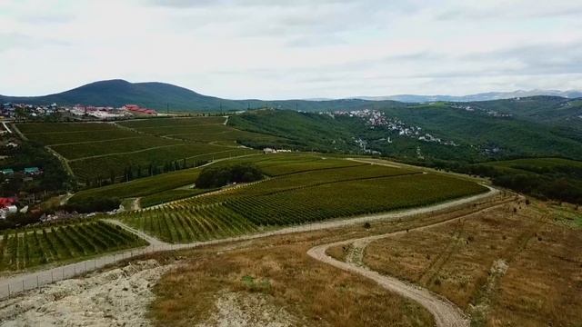 Новороссийск виноградники 4к смотреть онлайн