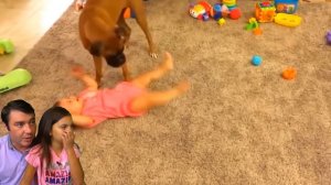 СМЕШНЫЕ КОТЫ против СОБАК В ШКОЛЕ! ЛУЧШИЙ НЕ УЛЫБНИСЬ и ЗАСМЕЙСЯ ЧЕЛЛЕНДЖ Funny Cats Валеришка