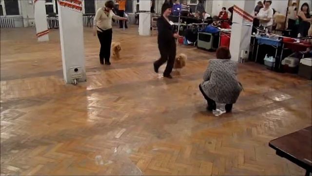 Абр карлики сравнение на ЛЮ смотреть онлайн