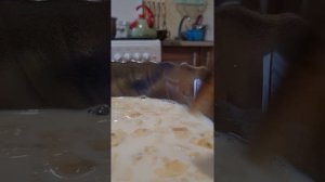 Приготовление йогурта в йогуртнице, простой рецепт