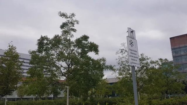 VLOG# Журавли улетают на ЮГ(а может это утки ) смотреть онлайн