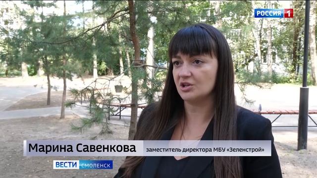 В Смоленске завершилось обустройство сквера на улице Николаева