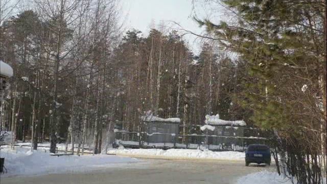 талинка