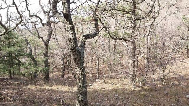 10.03.2021 Сорокалетье.mp4