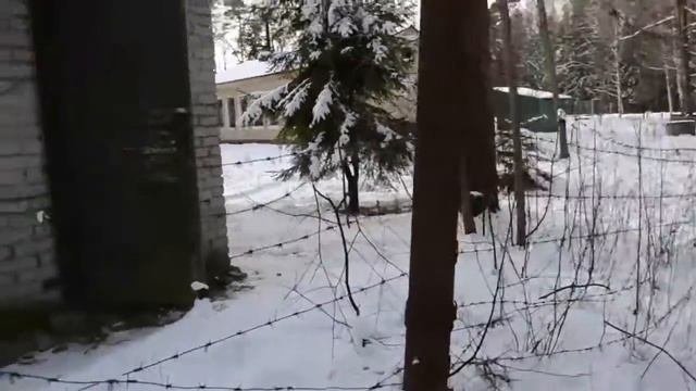 Запретная зона