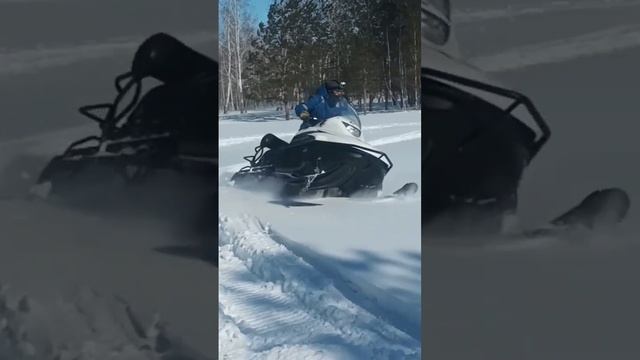 Снегоход Тайга 550V люто валит в пухляке смотреть онлайн
