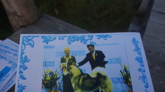 Родословная Маламута Ван ХЕЛЬСИНГА.ПРОДАЮТСЯ ЩЕНКИ смотреть онлайн