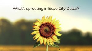 #ExpoCityDubai