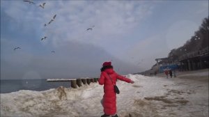 Светлогорск обзор курорта - Что посмотреть в Светлогорске достопримечательности
