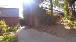 Прогулка по Таганрогу.