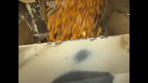 Не травмирующий протравливатель семян Dorez