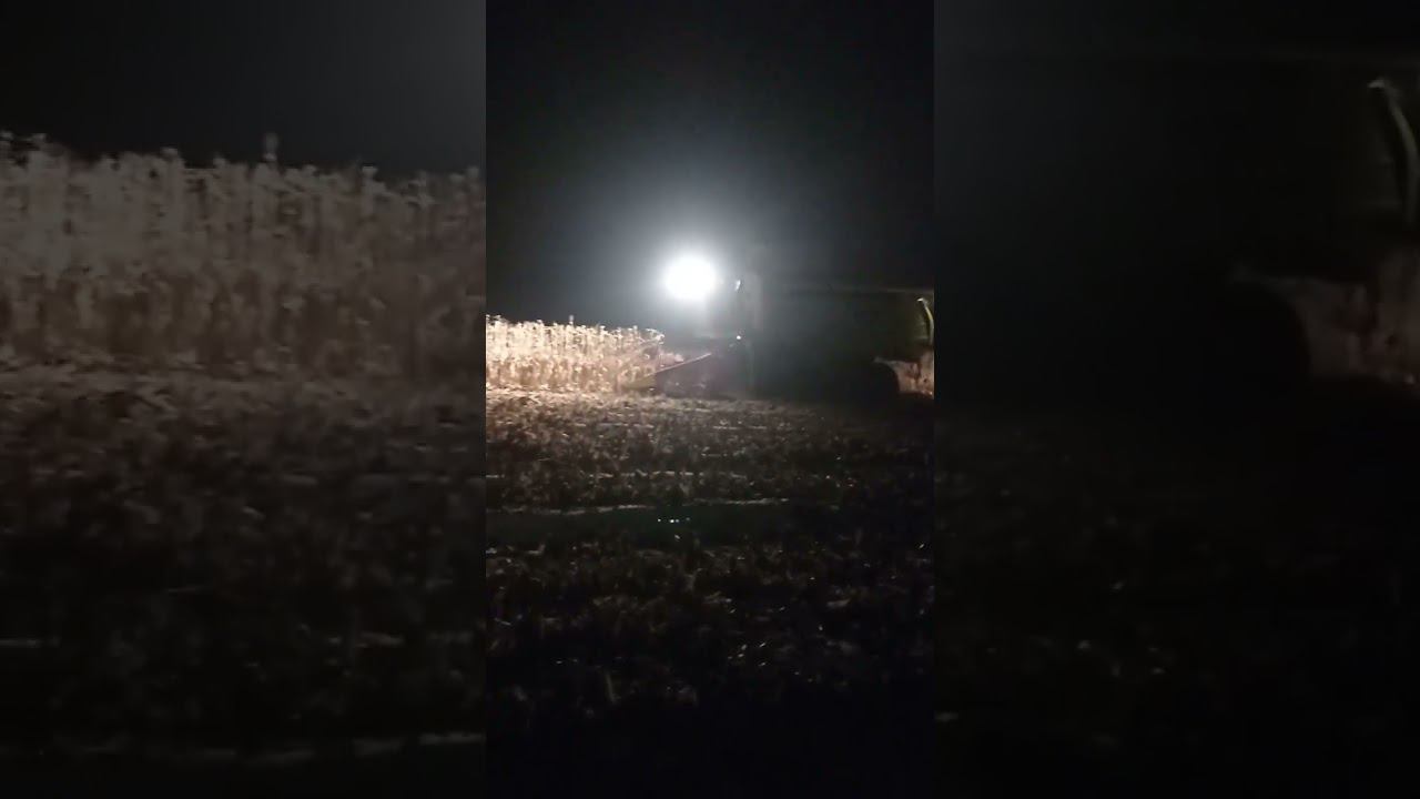 Уборка 31-01-2024 Курская область смотреть онлайн