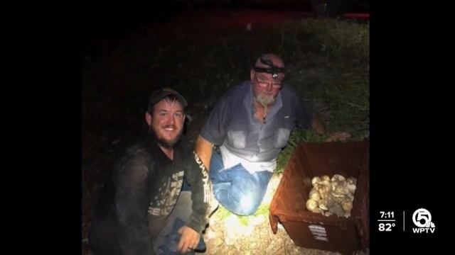 WPTV Python Roundup смотреть онлайн