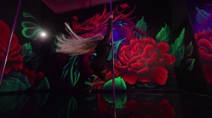 роскошный Erotic Pole Dance от Елены Дружининой